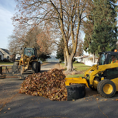 Leaf Pickup