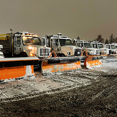 A line of Snow Plow Trucks