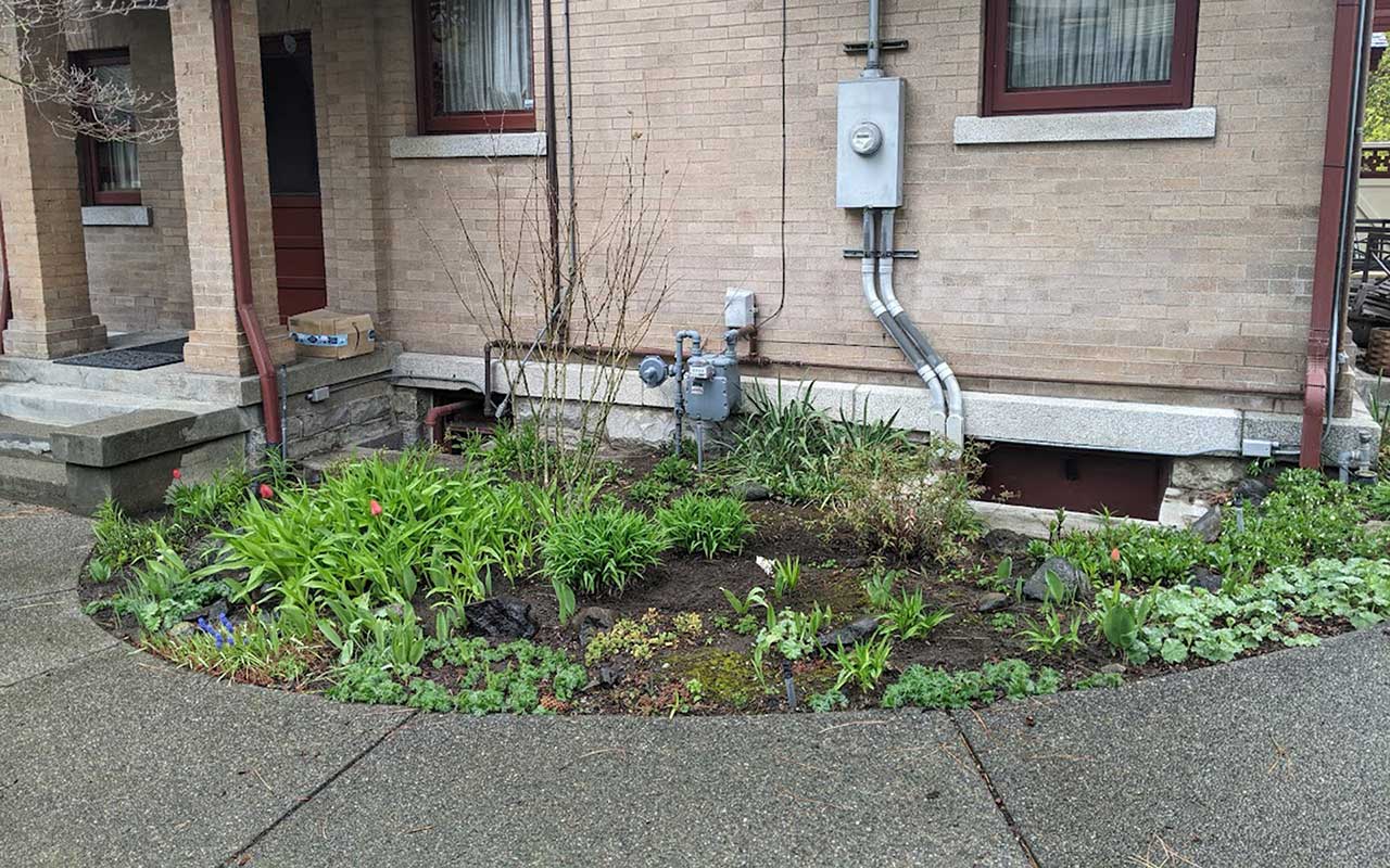 Rabbitbrush Sample Work