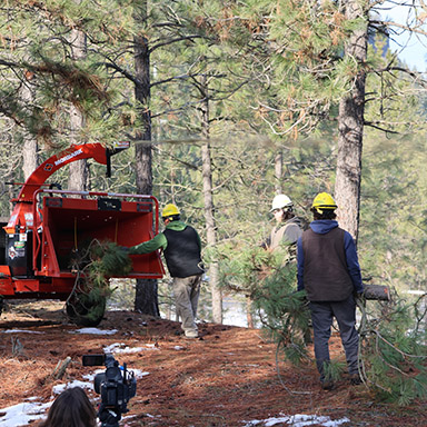 Wildland Fire Reduction