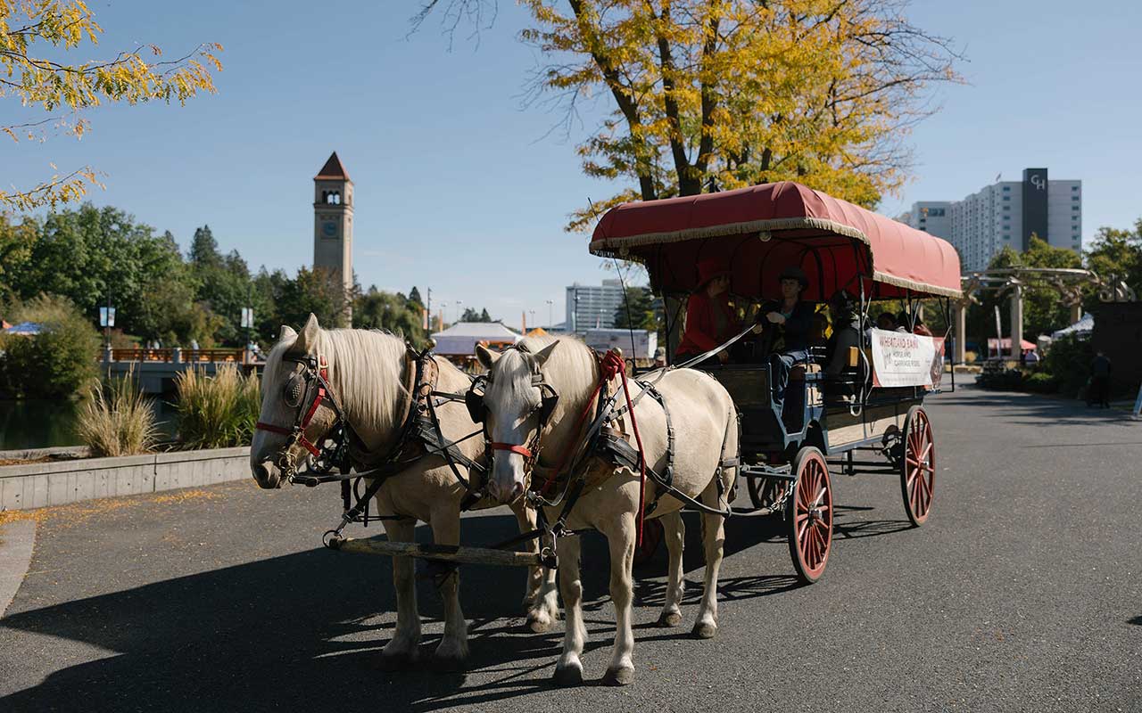 Wheatland Bank Horse & Carriage Rides