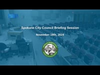 Watch: City Council Briefing Session